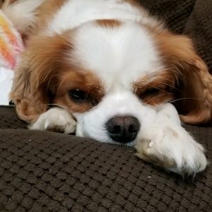 Meet your Posher, Teri